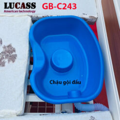 Giường tách xe lăn Lucass GB-C243 (GB-6E) - Ảnh 5