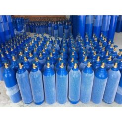 Bình Oxy Y Tế Vừa Và Nhỏ - Dành Cho Người Bệnh Cần Thở Oxi Tại Nhà - Ảnh 6