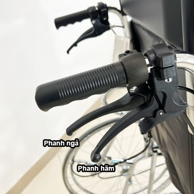 Xe lăn đa năng có bô vệ sinh ngả nằm chống lật Lucass X7A - Ảnh 11