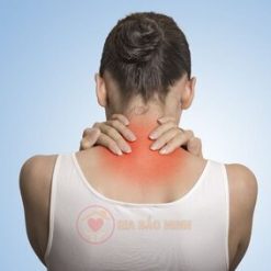 ĐAI KÉO GIÃN CỘT SỐNG CỔ GBM-006 - Ảnh 9